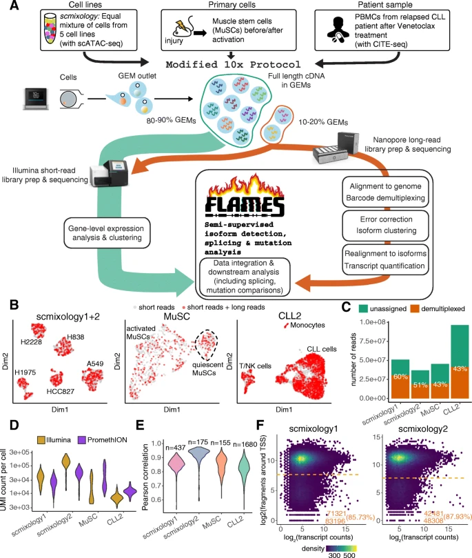 Long-read single-cell datasets