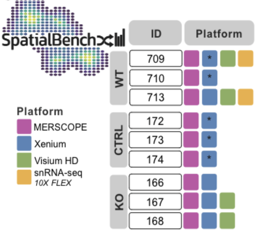SpatialBenchHighRes